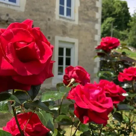 - Garden - Private Access To The Loir