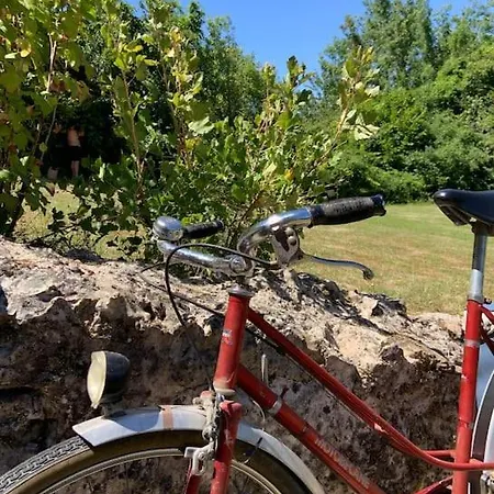 - Garden - Private Access To The Loir *